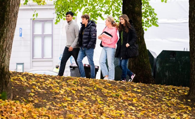 Fire elever går utendørs